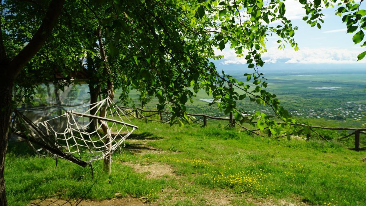 Tsanava'S Cottage In Sighnaghi Eksteriør bilde